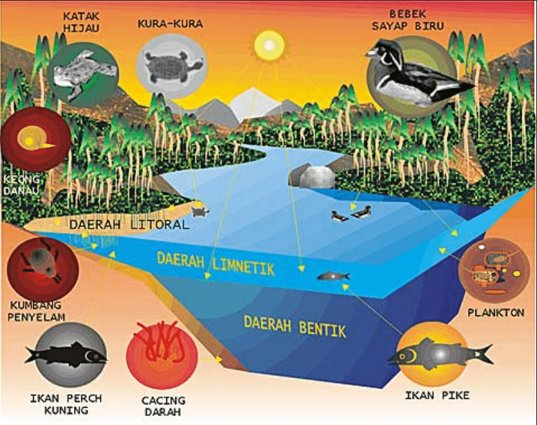 lingkungan biotik merupakan lingkungan yang terbaru