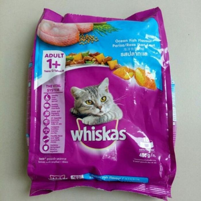 makanan kering untuk anak kucing terbaru