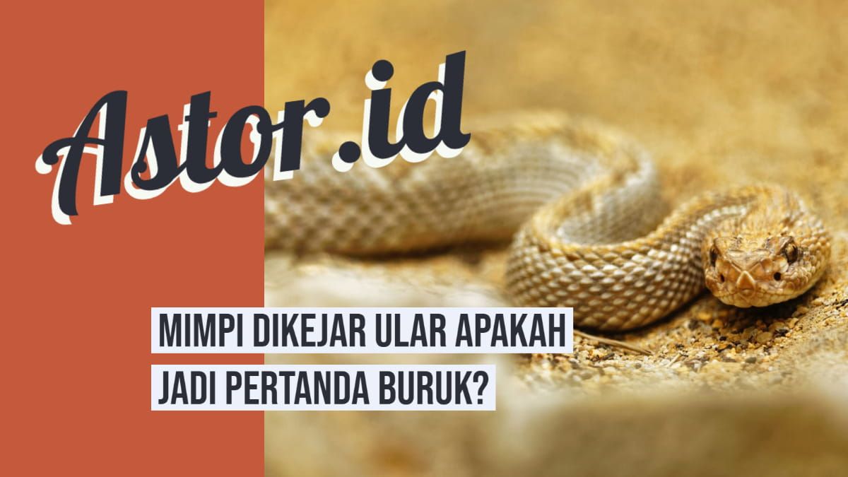 mimpi melihat orang digigit ular terbaru