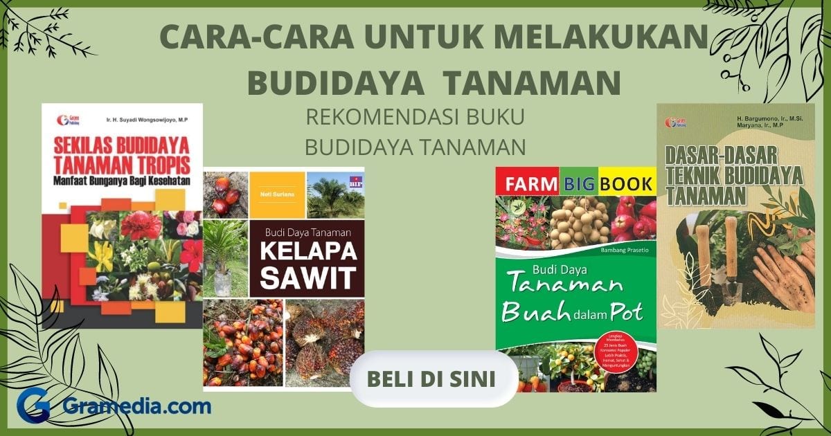 pangan tanaman pengertian standar morfologi ciri budidaya hasil sesuai mutu produk komentar