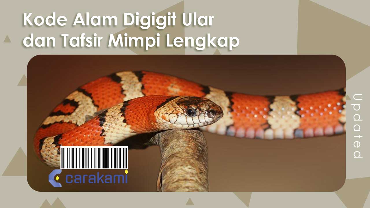 digigit ular mimpi arti tangan kaki pingsan