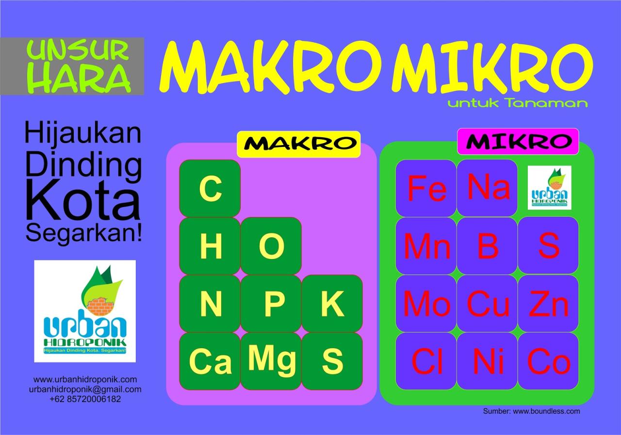 unsur hara makro dan mikro terbaru