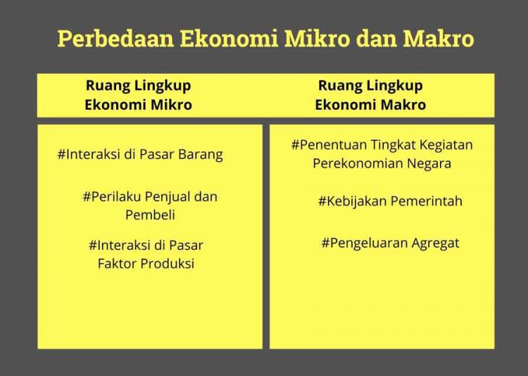 mikro makro ekonomi perbedaan