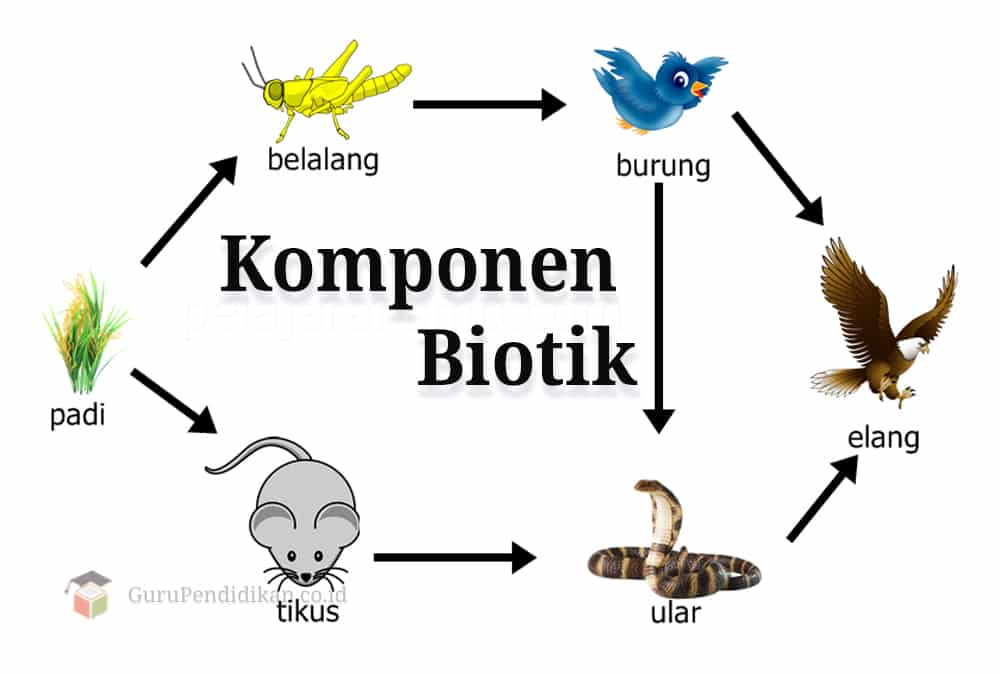 lingkungan biotik merupakan lingkungan yang