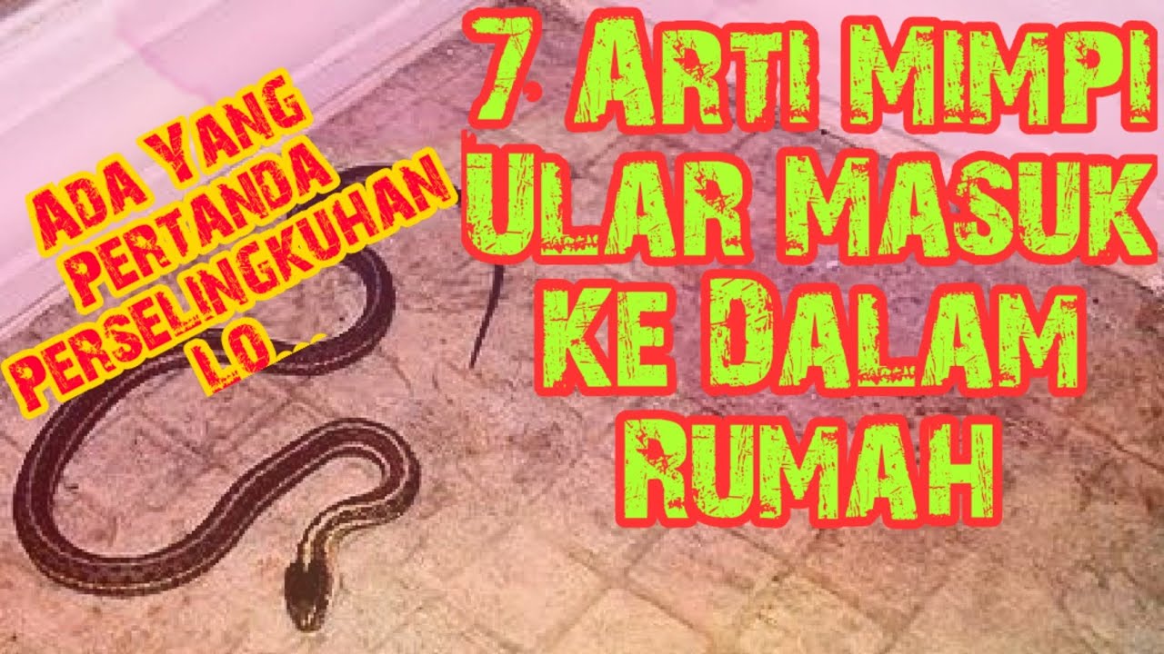 mimpi banyak ular di rumah terbaru