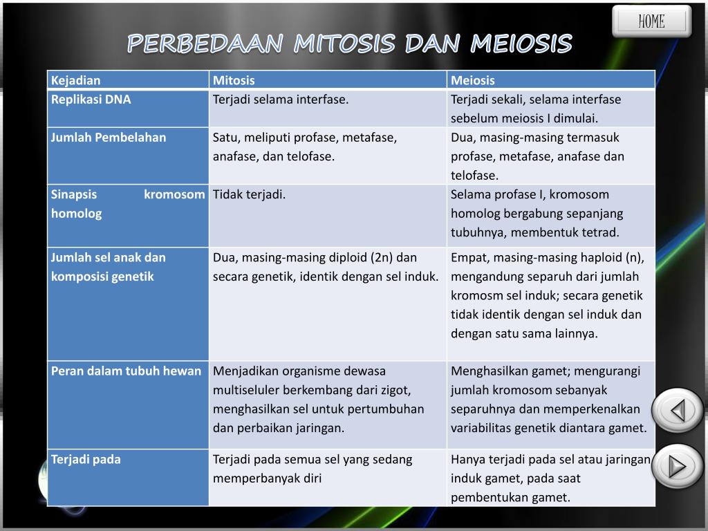 mitosis meiosis pembelahan sel perbedaan manusia pengertian pada proses bedanya amitosis sumberpengertian tujuan inilah prosesnya makhluk hidup kumparan pembahasannya dilakukan