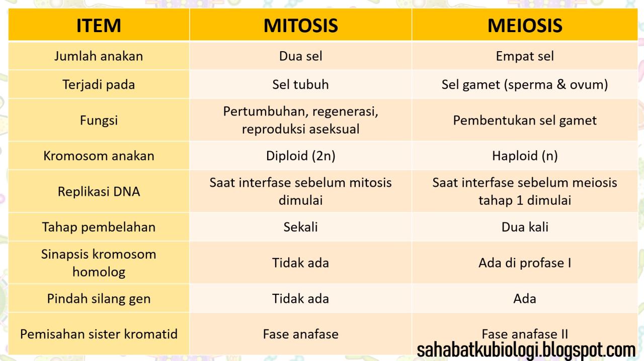 jelaskan perbedaan mitosis dan meiosis terbaru