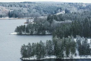 Misteri Peristiwa Tunguska: Ledakan Raksasa di Siberia Tanpa Kawah